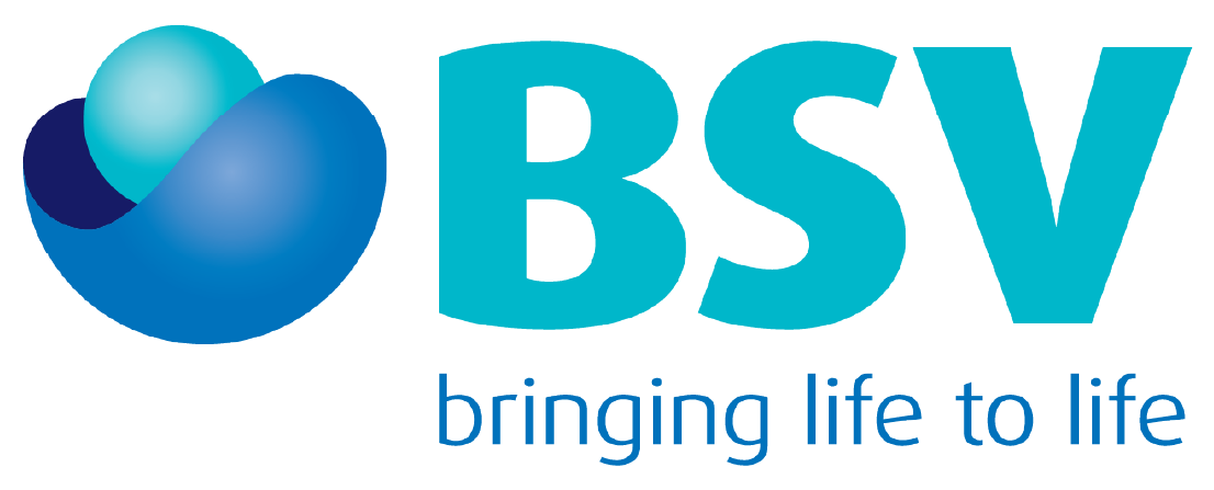 Bsv Logo