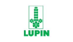 lupin