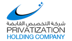 privatization