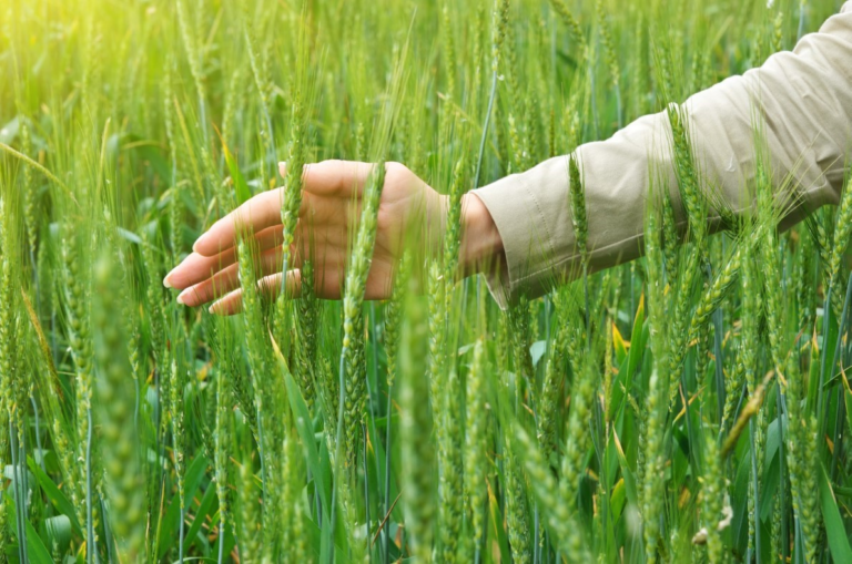 Crop Protection Manufacturer Automates Price Change Process with Titan Workspace