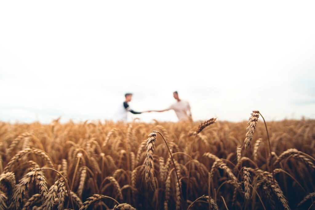 Crop protection and fertilizer companies work across plants, regulators and distribution networks